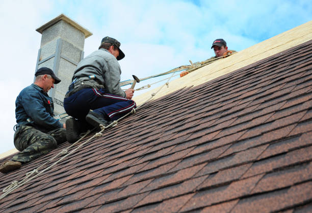 Best Storm Damage Roof Repair  in Warm Mineral Springs, FL